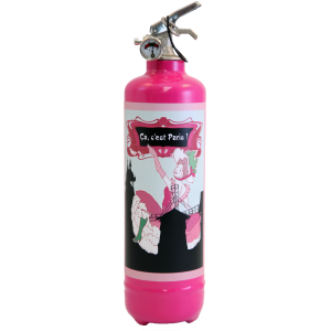 paris_cheri_cest_paris_fuchsia