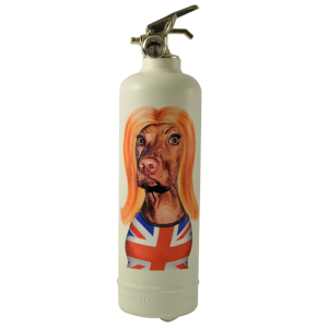 pets_rock_gerry_blanc